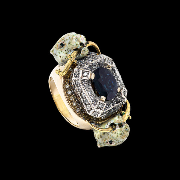 The Guardians of the Treasure Ring