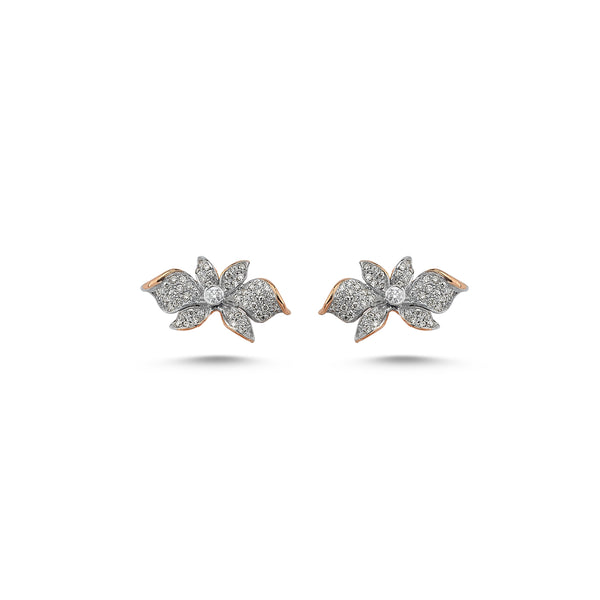 Boucles d'oreilles HEDERA