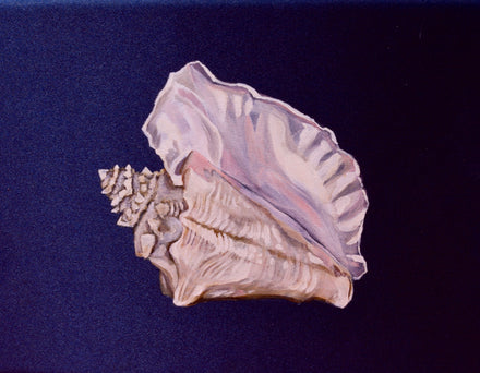 Boîte à bijoux Coquillage