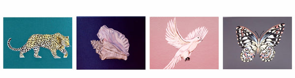 Boîte à bijoux Coquillage