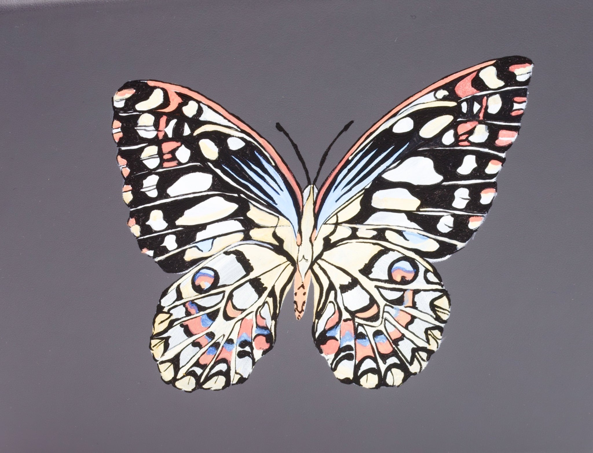 Jewellery Box Butterfly